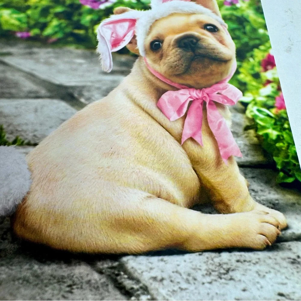 4 Avanti Greeting cards - puppy dog with bunny ears on stone path Easter